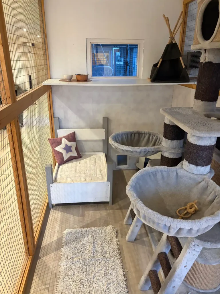 pension canine à Saint-Jean-de-Liversay 17